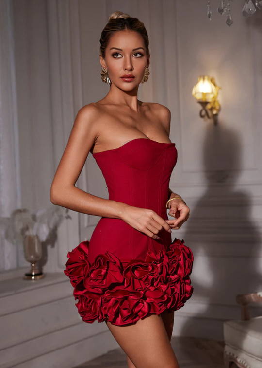 Vespera Corset Bodycon Mini Dress