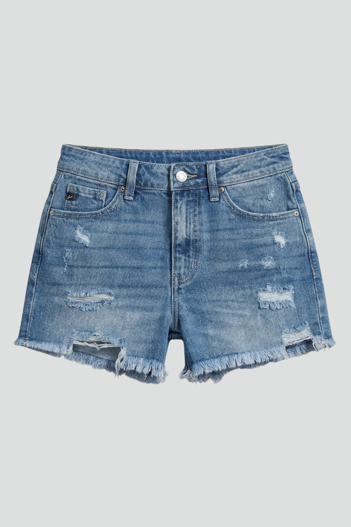 Elva Frayed Hem Denim Shorts