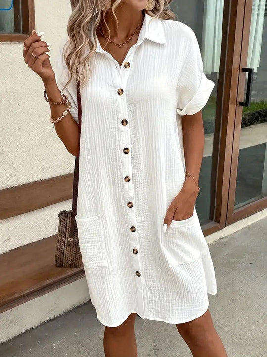 Chloe V-Neck Blouse Dress