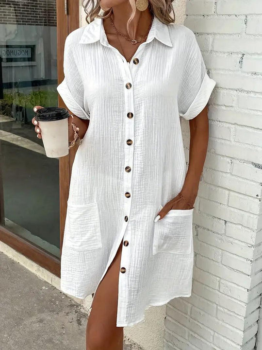 Chloe V-Neck Blouse Dress