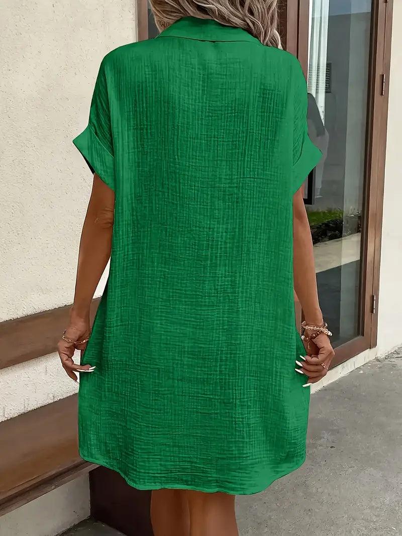 Chloe V-Neck Blouse Dress