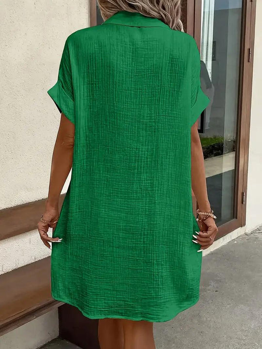 Chloe V-Neck Blouse Dress