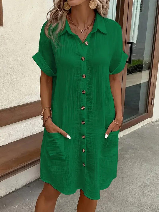 Chloe V-Neck Blouse Dress