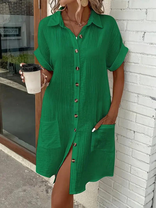 Chloe V-Neck Blouse Dress