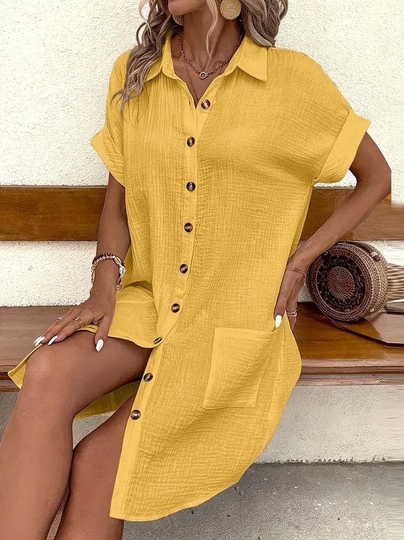 Chloe V-Neck Blouse Dress