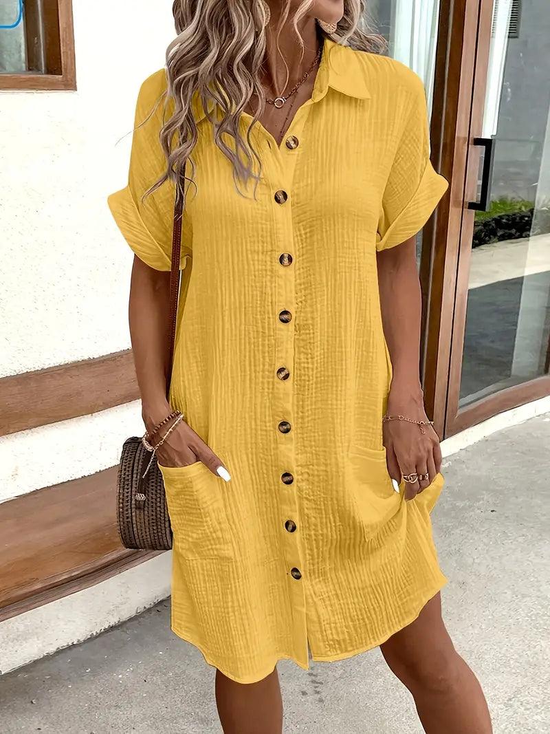 Chloe V-Neck Blouse Dress