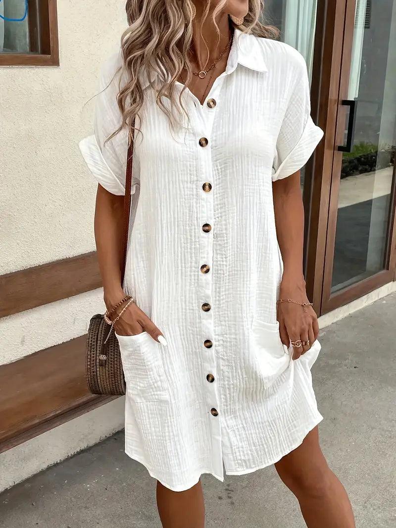 Chloe V-Neck Blouse Dress