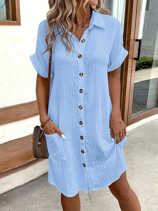 Chloe V-Neck Blouse Dress
