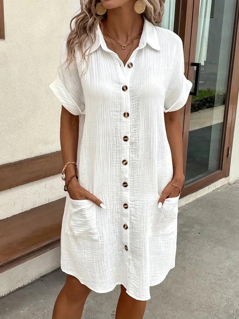 Chloe V-Neck Blouse Dress