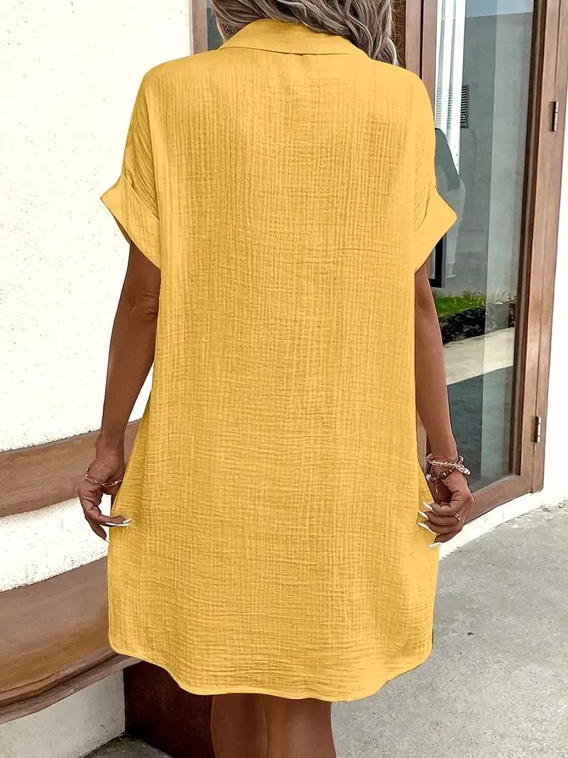 Chloe V-Neck Blouse Dress