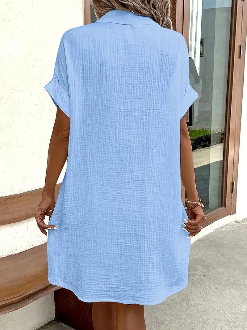 Chloe V-Neck Blouse Dress